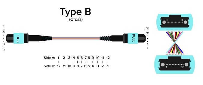 Type B-Fiber Polarity