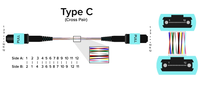 Type C-Fiber Polarity