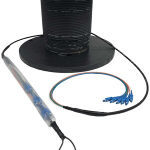 Indoor/Outdoor Trunk Cables